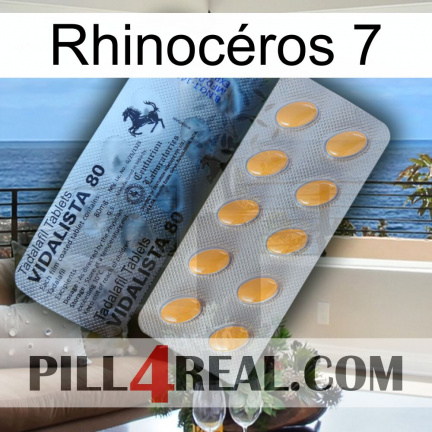 Rhinocéros 7 44